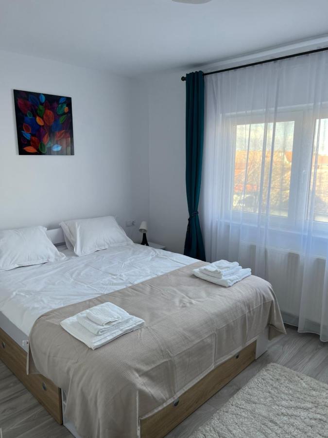 Cozy Residence Sibiu Esterno foto